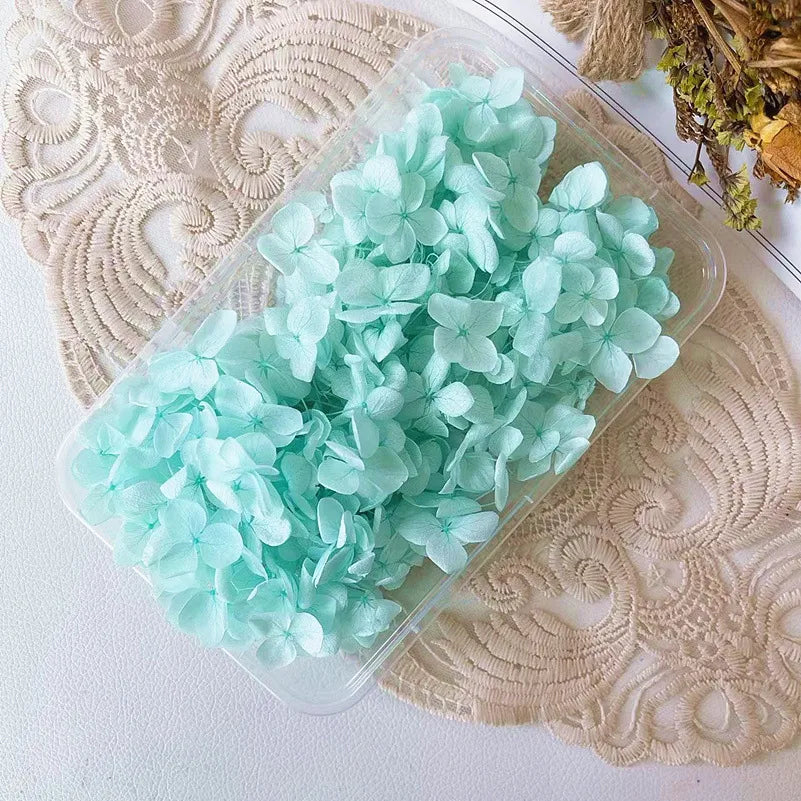 Hydrangea eternal flower dried flower diy handmade wedding shoes stickers face floral class activity photo frame violent bear petals material package