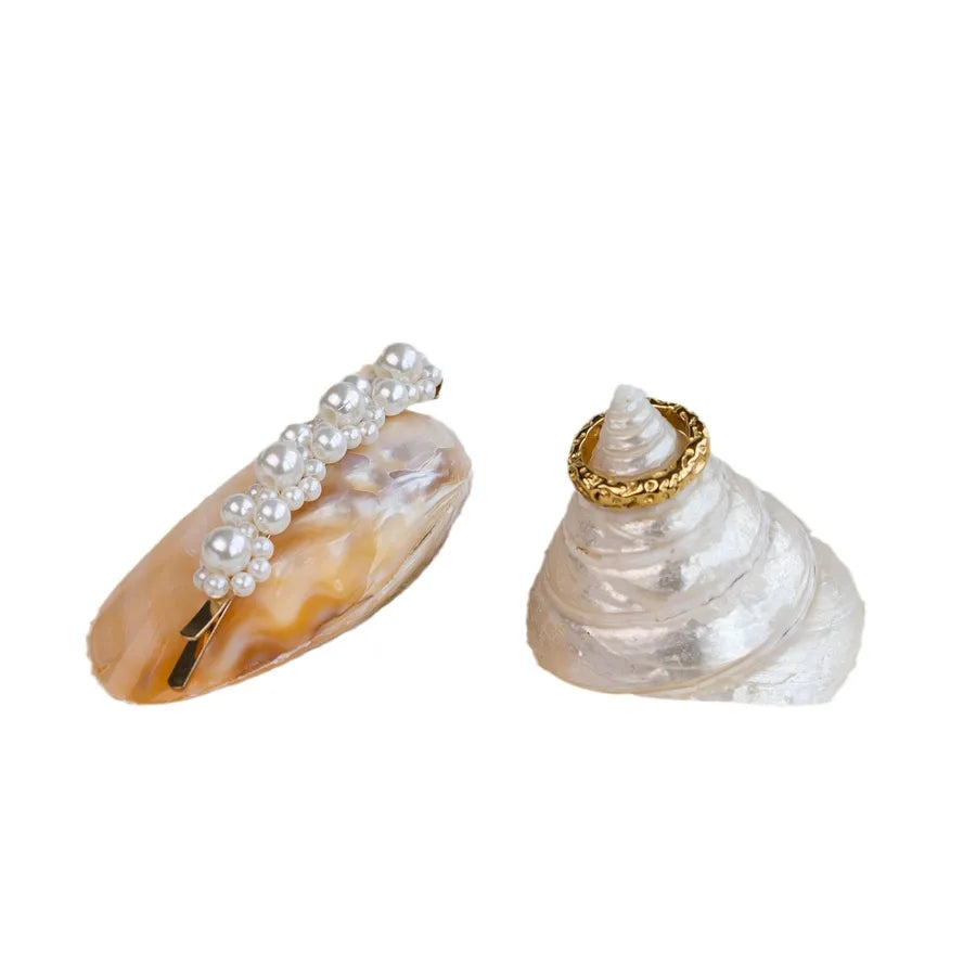 Natural Shell Jewelry Display Tray Decorative Ornament Shell Tray Nordic Style Craftsmanship Shell Pattern Jewelry Stand