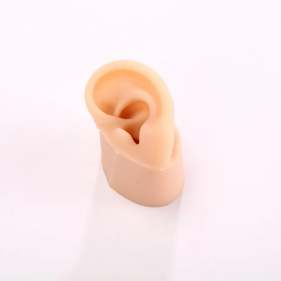 silicone simulation fake ear facial features teaching practice props nose mouth navel stud ring accessories display stand model