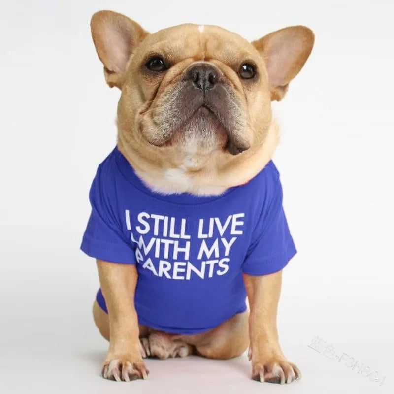 fashion cloth letter pet clothing 1 piece
