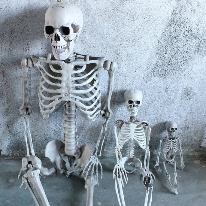 Halloween Horror Funny Skull skull skeleton Plastic Party Carnival Festival Ornaments Skeleton Ornaments