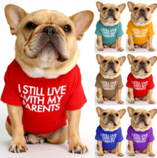 fashion cloth letter pet clothing 1 piece