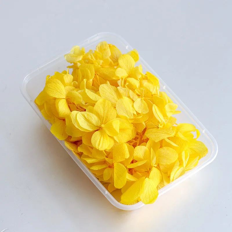 Hydrangea eternal flower dried flower diy handmade wedding shoes stickers face floral class activity photo frame violent bear petals material package