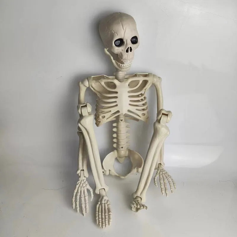 Halloween Horror Funny Skull skull skeleton Plastic Party Carnival Festival Ornaments Skeleton Ornaments