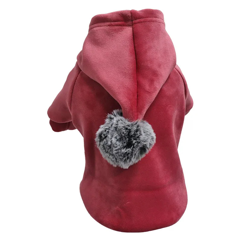 casual gold velvet solid color pet clothing