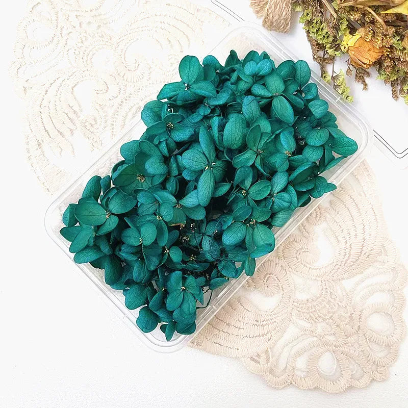 Hydrangea eternal flower dried flower diy handmade wedding shoes stickers face floral class activity photo frame violent bear petals material package