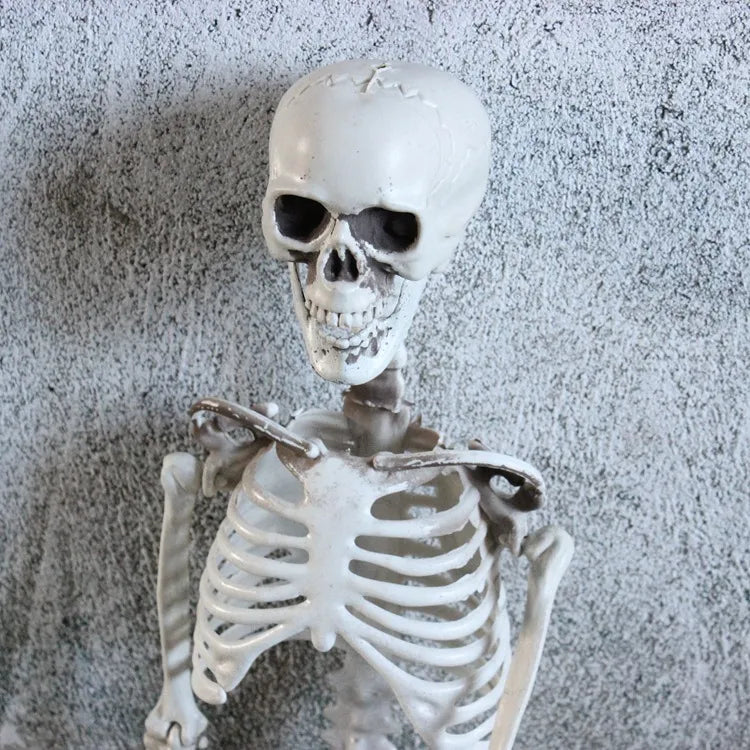 Halloween Horror Funny Skull skull skeleton Plastic Party Carnival Festival Ornaments Skeleton Ornaments