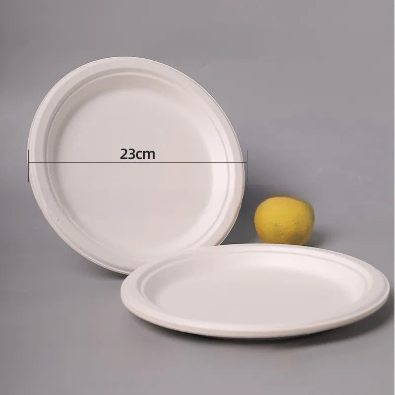 Disposable Sugarcane Pulp Paper Plate Dinner Plate Barbecue Cake Kindergarten Drawing DIY Paper Plate Thickened Pulp Plate