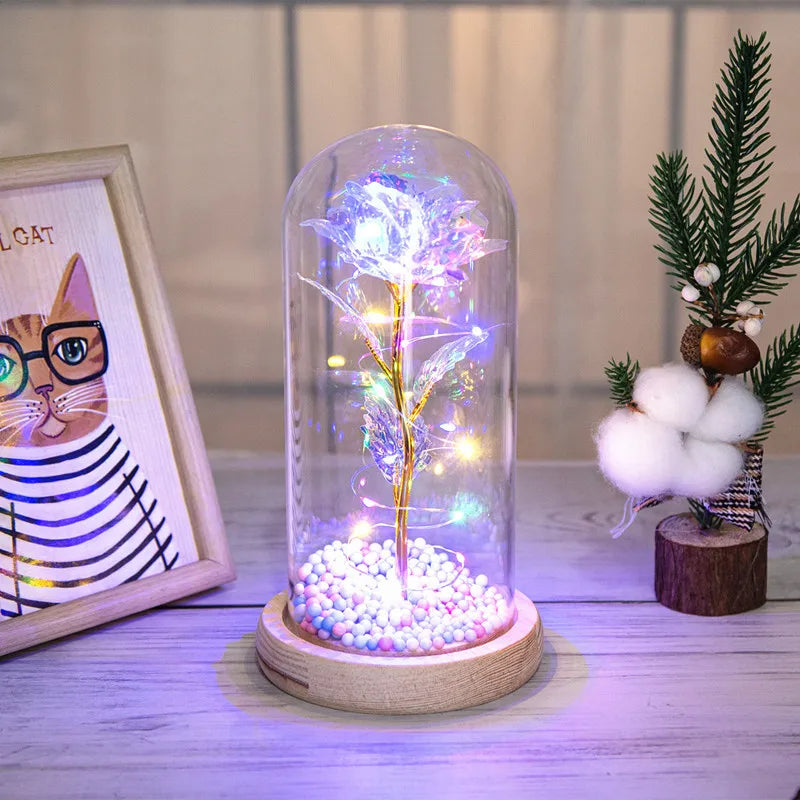 simple style classic style color block plastic glass holiday daily