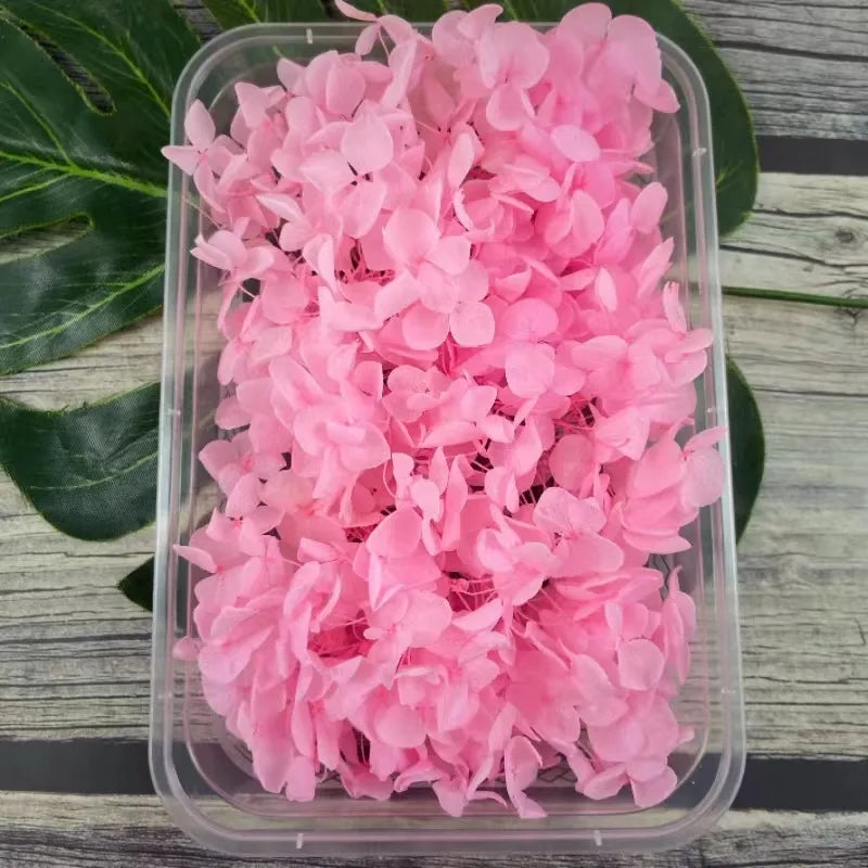 Hydrangea eternal flower dried flower diy handmade wedding shoes stickers face floral class activity photo frame violent bear petals material package