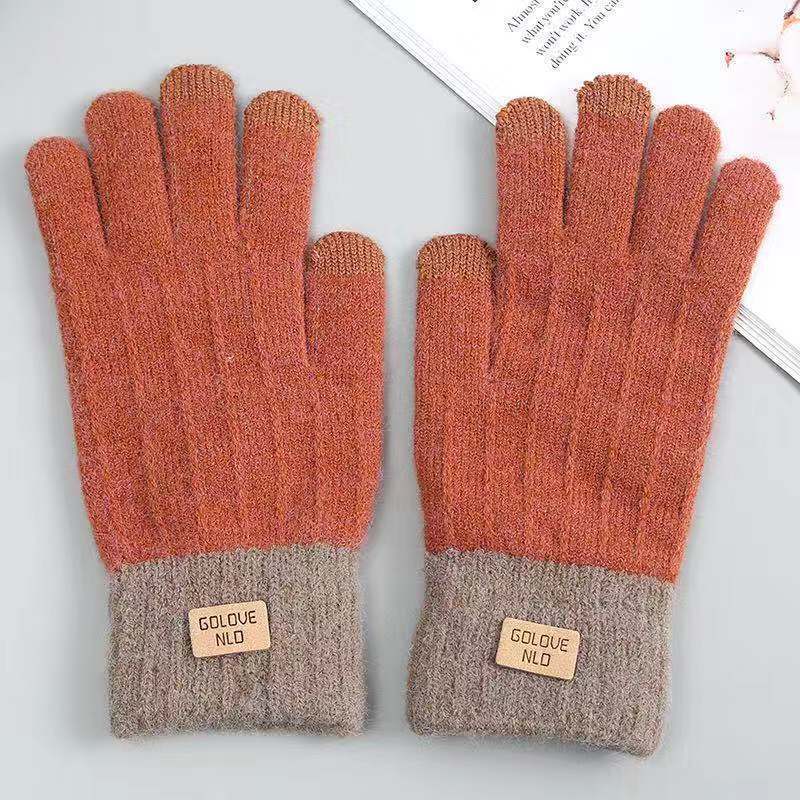 In stock autumn and winter women's knitted gloves fleece-lined thick warm cold-proof outdoor finger touch screen gloves