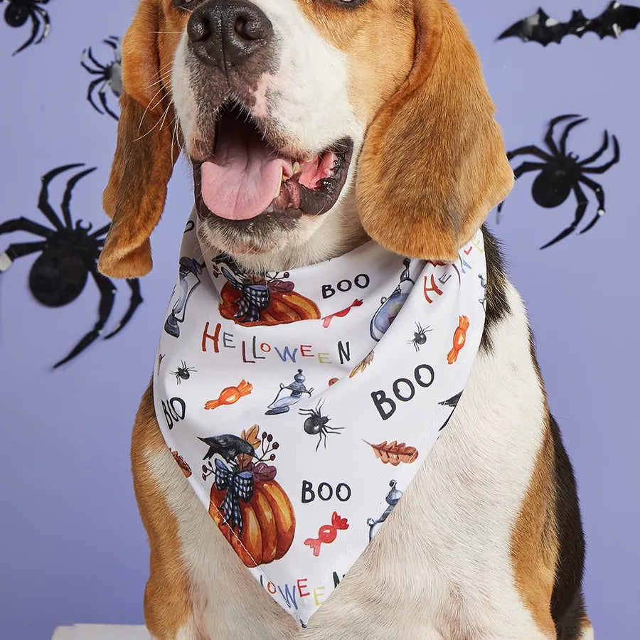 Halloween Pet Costume Saliva Towel High Definition Digital Print Dog Triangular Scarf Pet Decorative Neck Warmer Polyester
