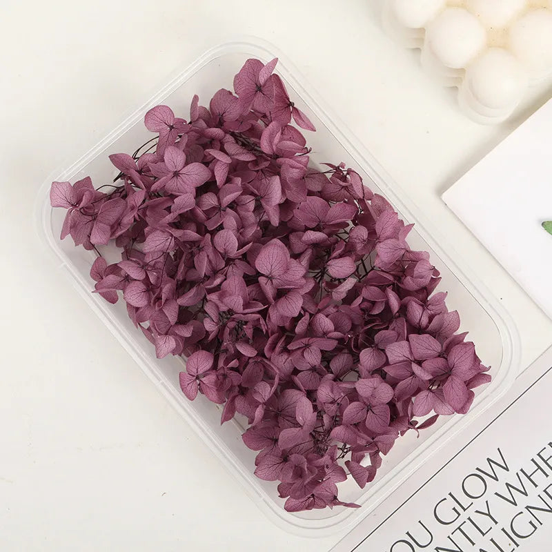 Hydrangea eternal flower dried flower diy handmade wedding shoes stickers face floral class activity photo frame violent bear petals material package