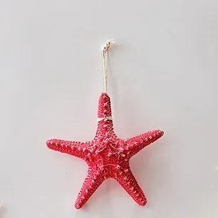 Marine Style Starfish Resin pendant Wall Art