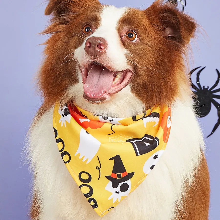 Halloween Pet Costume Saliva Towel High Definition Digital Print Dog Triangular Scarf Pet Decorative Neck Warmer Polyester