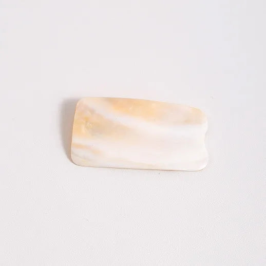 Natural Shell Jewelry Display Tray Decorative Ornament Shell Tray Nordic Style Craftsmanship Shell Pattern Jewelry Stand