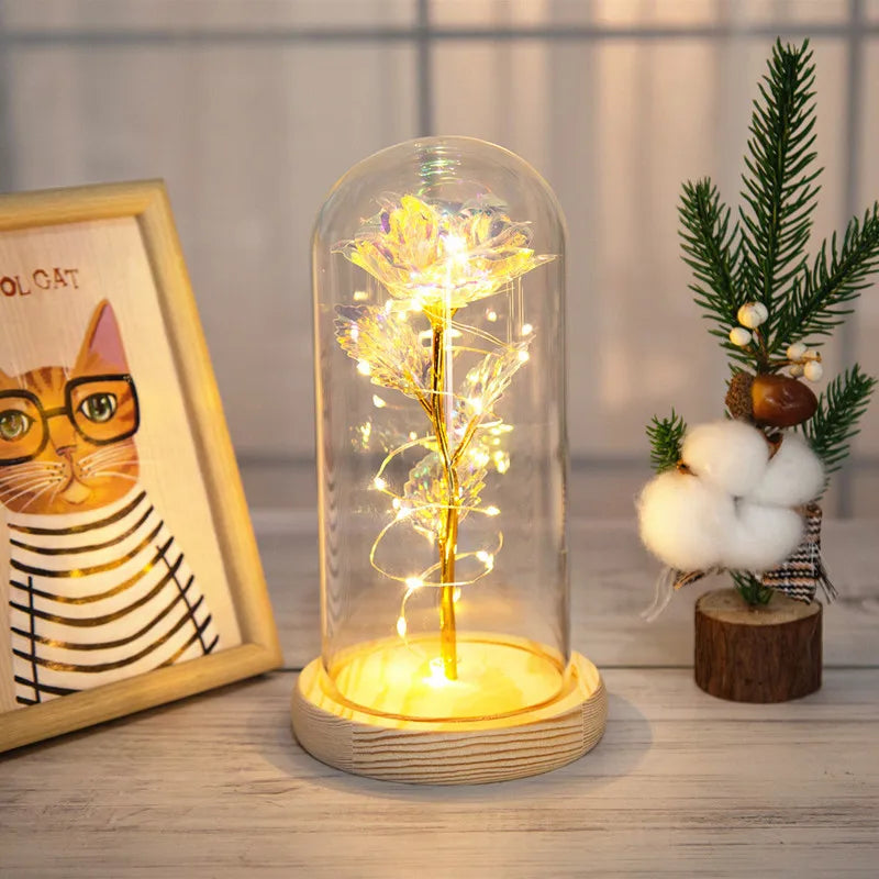 simple style classic style color block plastic glass holiday daily