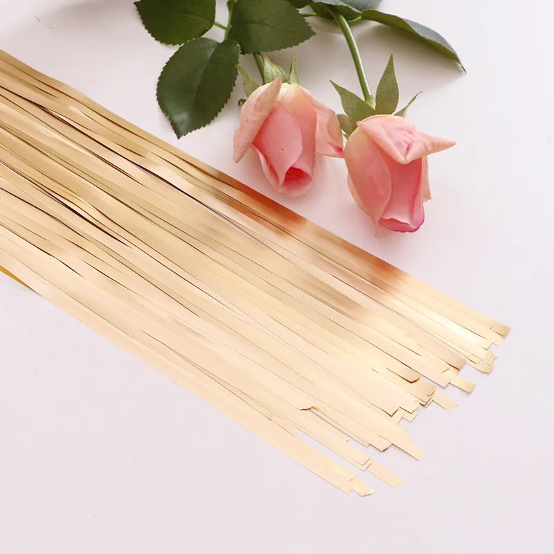 Solid Color Solid Color Plastic Graduation Party Tinsel curtain