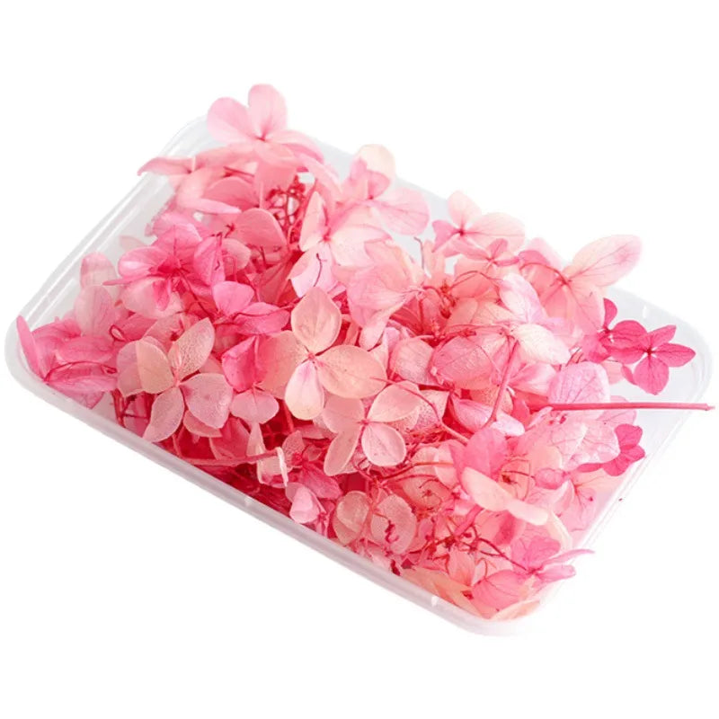 Hydrangea eternal flower dried flower diy handmade wedding shoes stickers face floral class activity photo frame violent bear petals material package