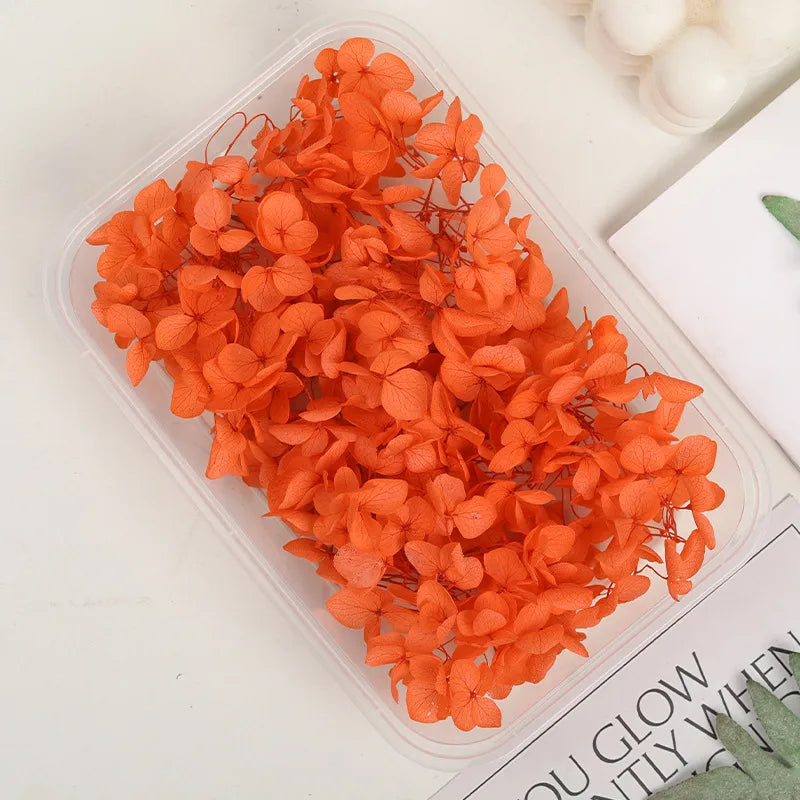 Hydrangea eternal flower dried flower diy handmade wedding shoes stickers face floral class activity photo frame violent bear petals material package