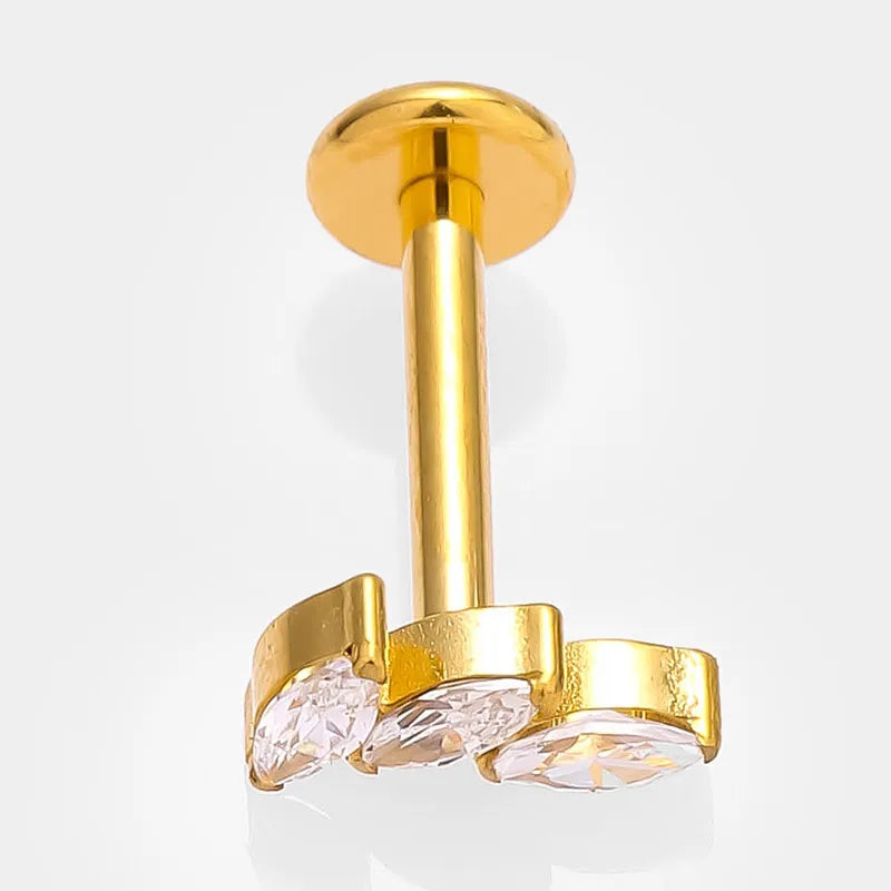 1 Piece Lip Rings Simple Style Commute Crown Butterfly Titanium Steel Inlay Zircon 18K Gold Plated Ear Cartilage Rings & Studs