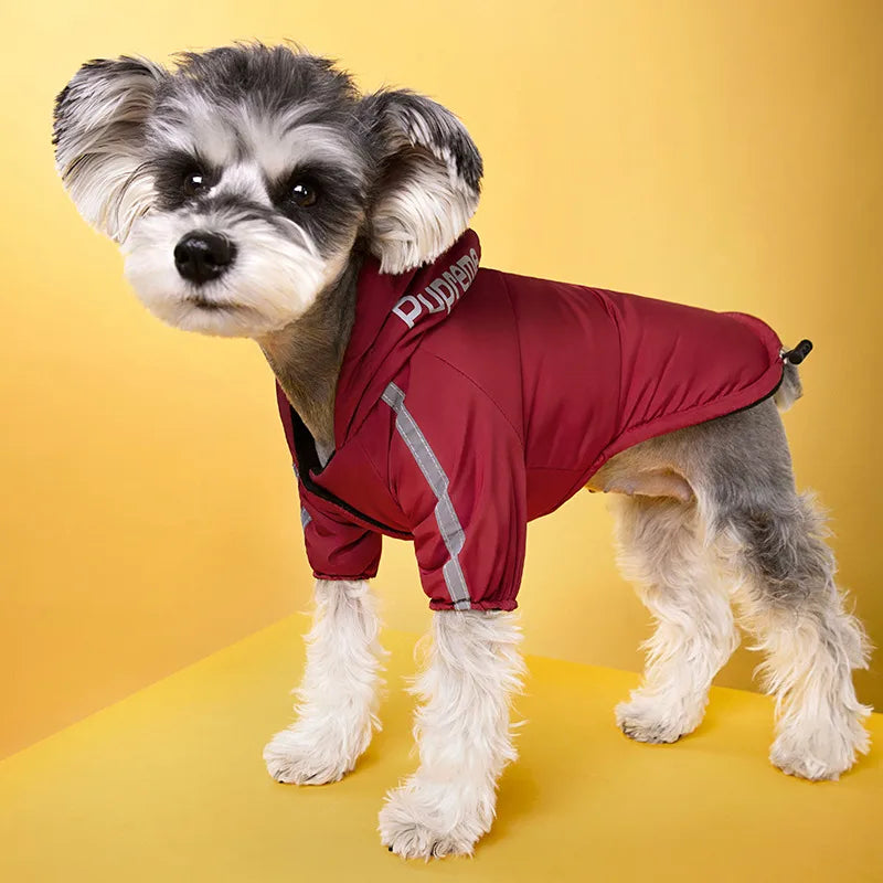 casual polyester letter pet clothing