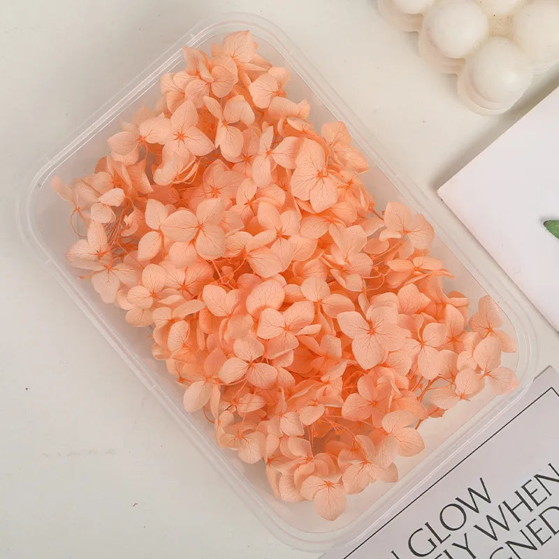 Hydrangea eternal flower dried flower diy handmade wedding shoes stickers face floral class activity photo frame violent bear petals material package