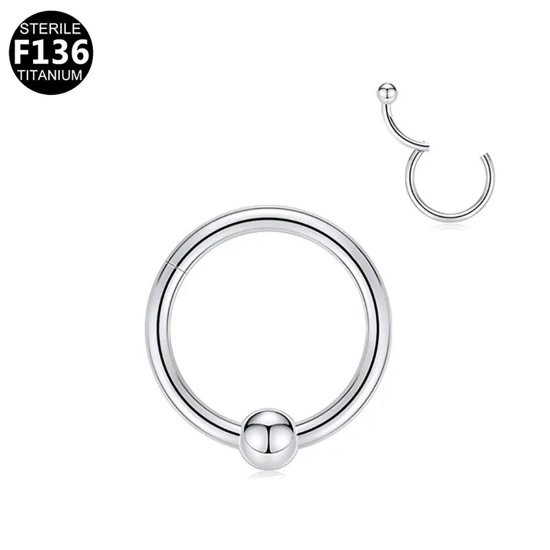 1 Piece Nose Rings & Studs Casual Solid Color Classic Style Geometric Pure Titanium Plating Inlay Zircon White Gold Plated Gold Plated Nose Rings & Studs