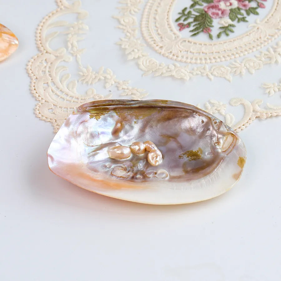 Natural Shell Jewelry Display Tray Decorative Ornament Shell Tray Nordic Style Craftsmanship Shell Pattern Jewelry Stand