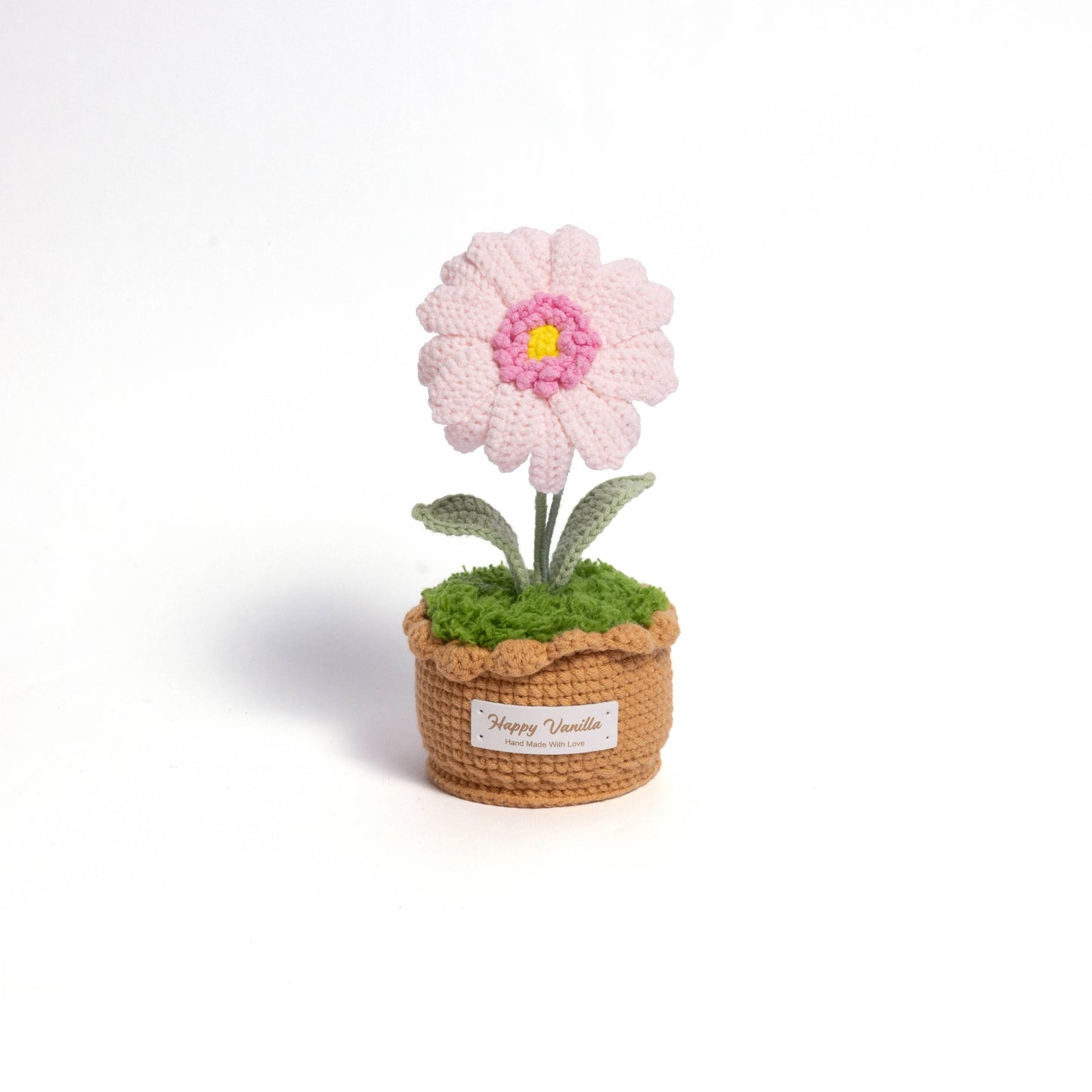 XXL Pot Plants : Larger the size, Bigger the smile