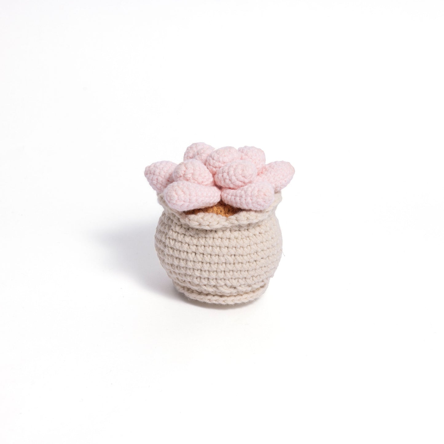 Soft Crochet Succulent Plants