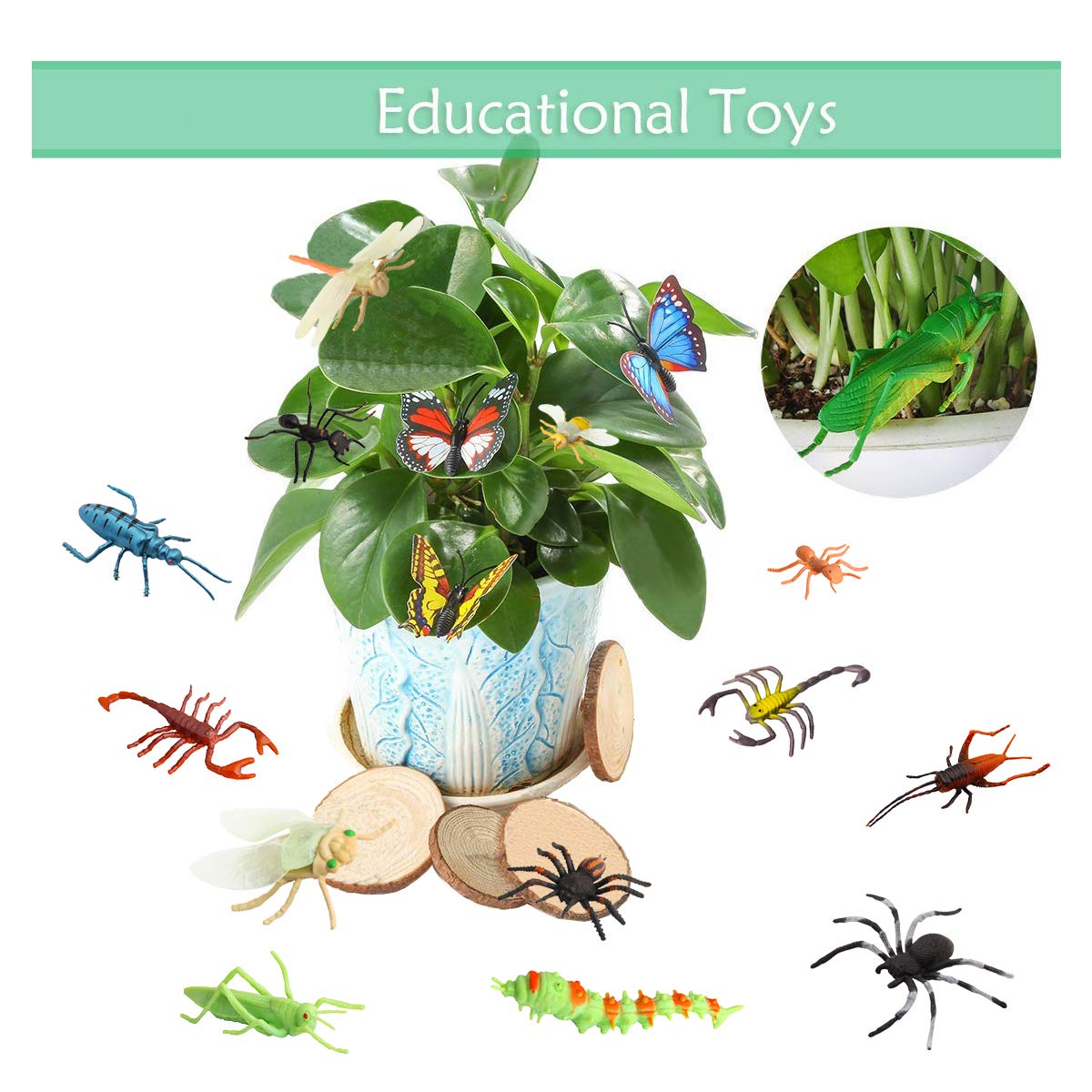 PINOWU 24pcs Insect Bug Toy Figures – 2-4 Inch Realistic Insects for Kids