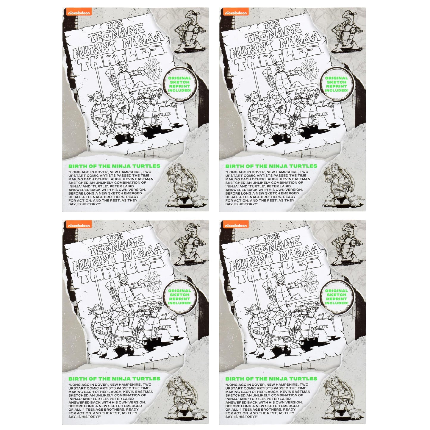 Teenage Mutant Ninja Turtles Original Sketch Collector Figure with Comic Book – Playmates Toys
