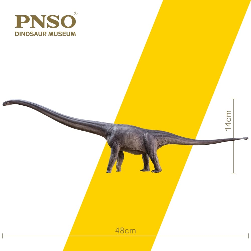 PNSO ER-MA Mamenchisaurus 1:45 Scientific Art Model – Dinosaur Museums Series