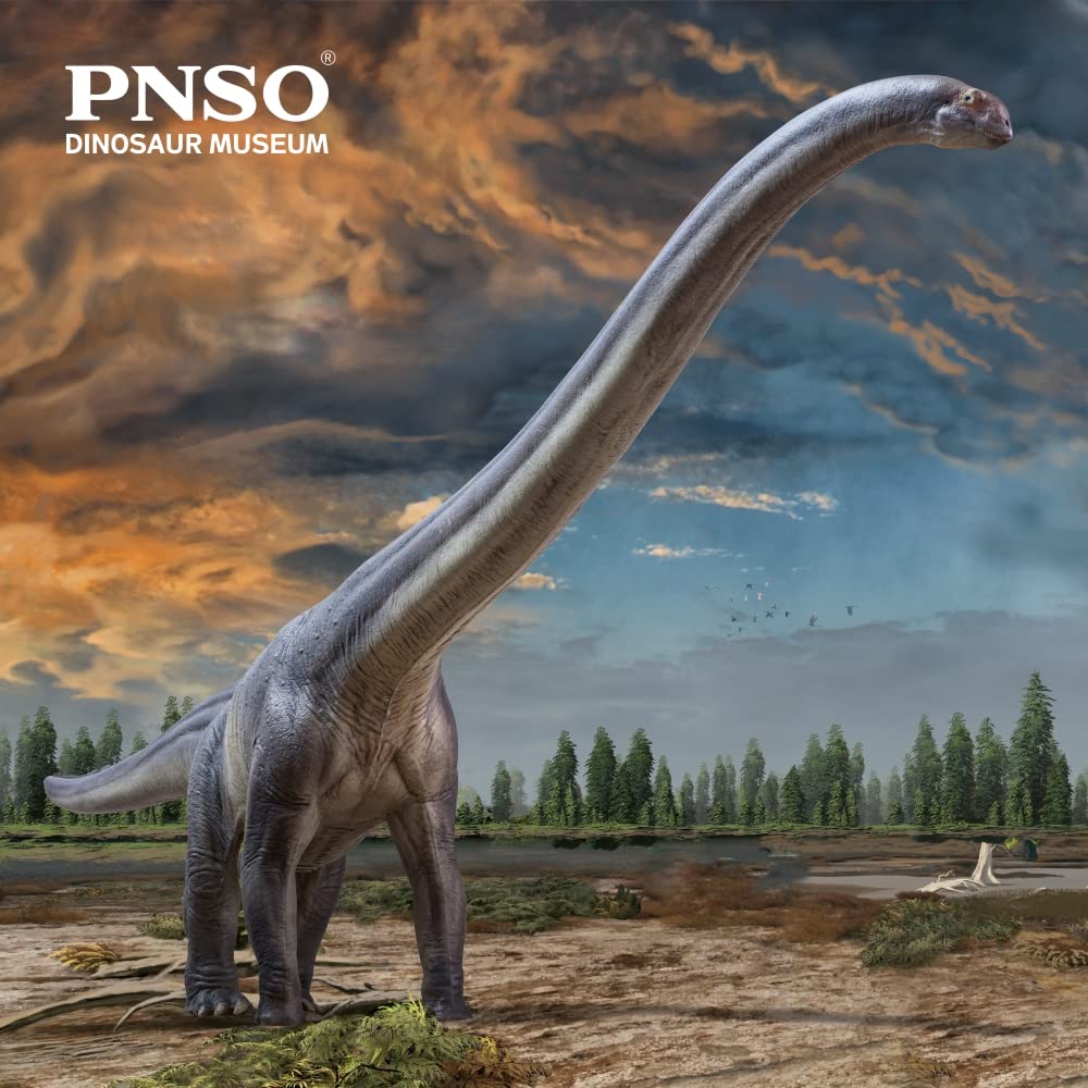 PNSO ER-MA Mamenchisaurus 1:45 Scientific Art Model – Dinosaur Museums Series