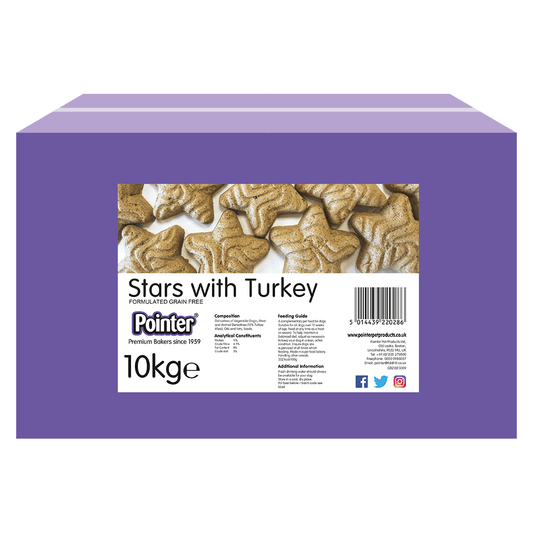 Pointer Stars with TurkeyPointer Stars with Turkey 10kg