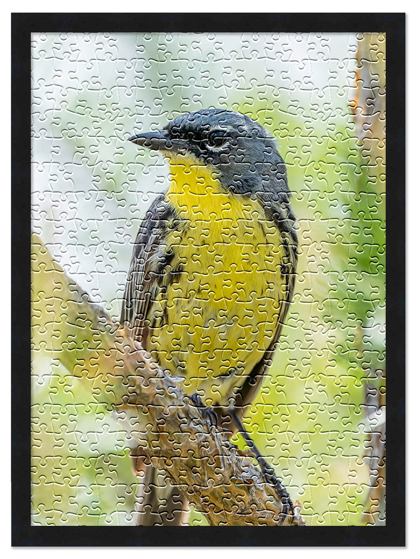 Poster Palooza 16x20 Jigsaw Puzzle Frame Kit – Black Wood Frame, UV Acrylic, Glue Sheets, USA-Made