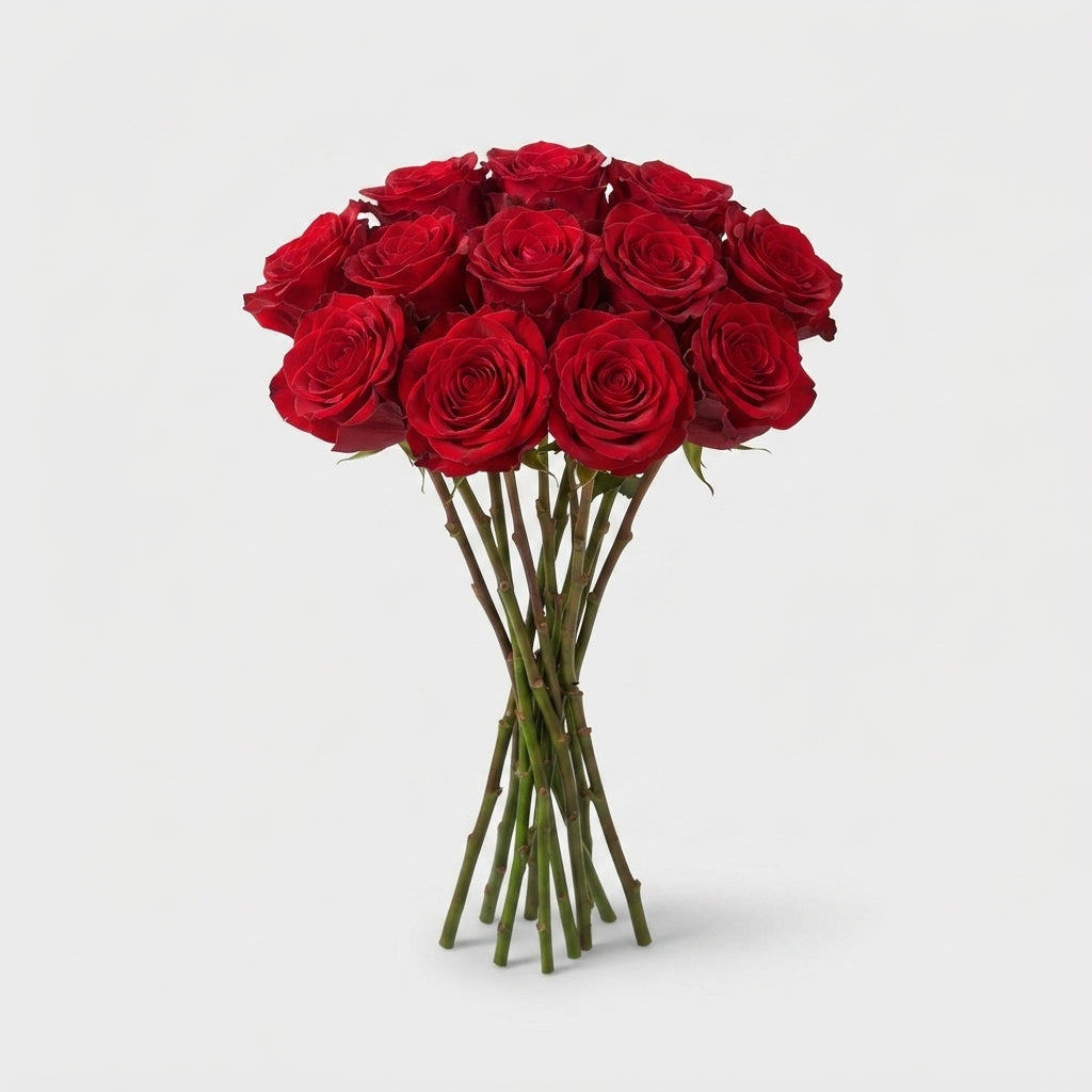 Rose - Rosa - Red Naomi Van Den Ende