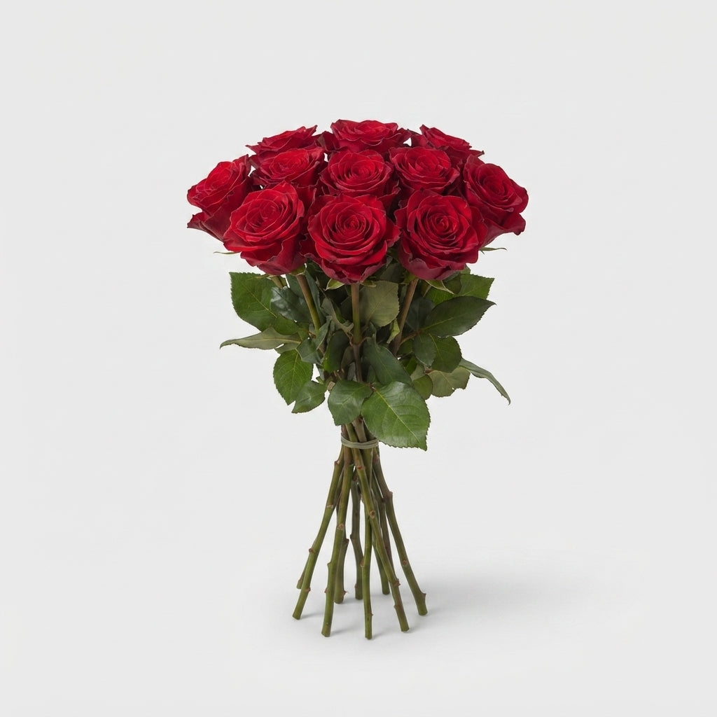 Rose - Rosa - Red Naomi