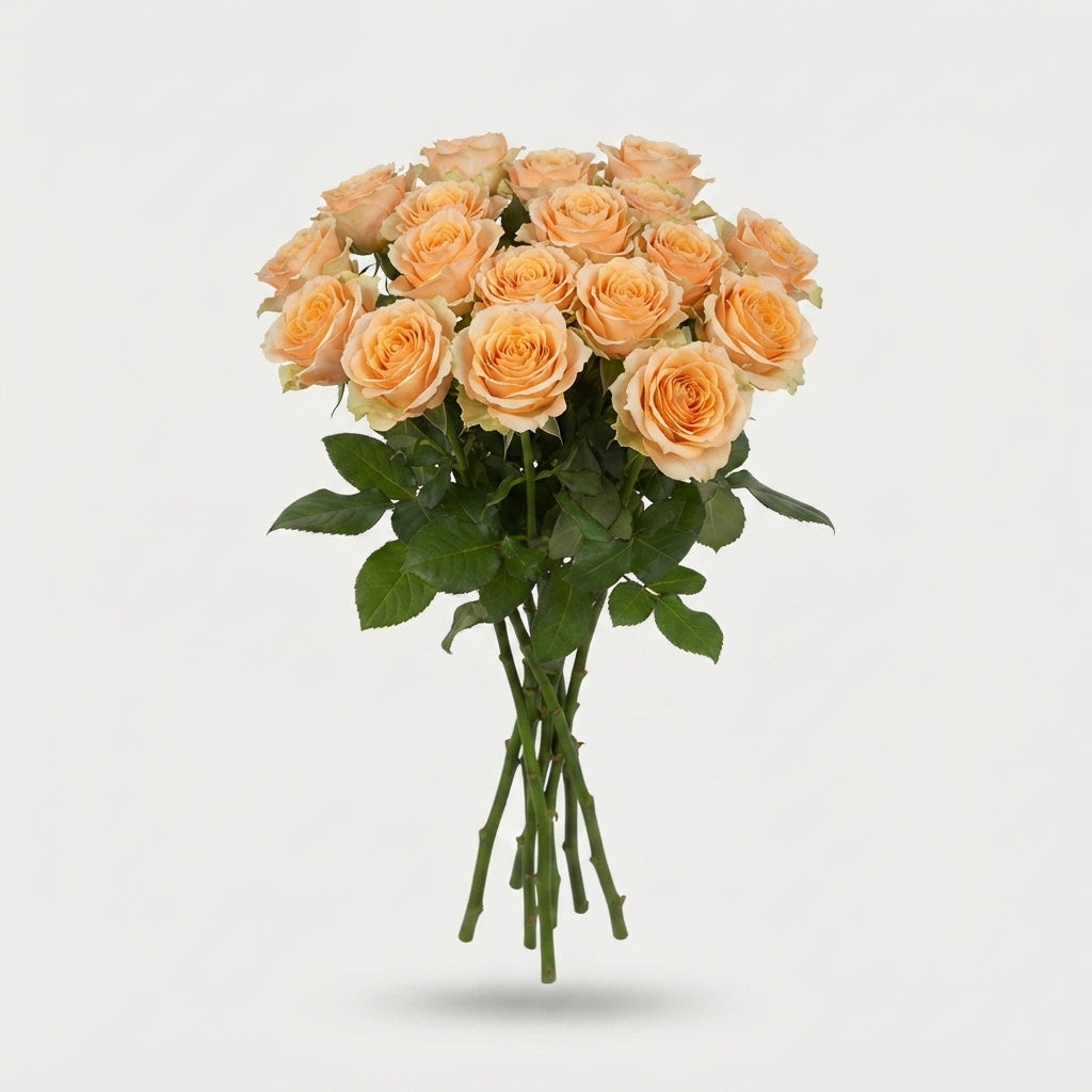 Spray Rose - Rosa - Trinity