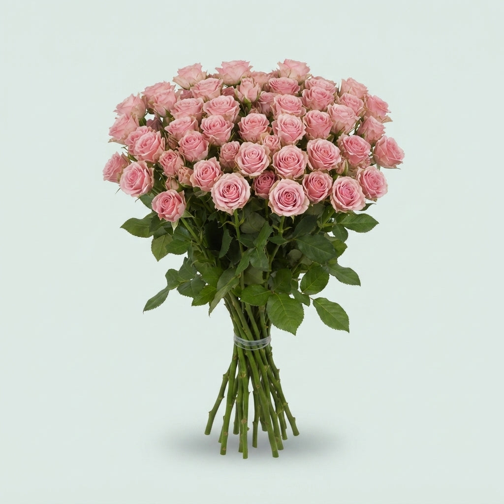 Spray Rose - Rosa - Severina