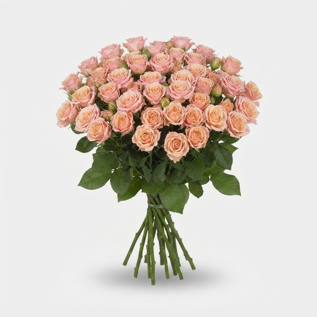 Spray Rose - Rosa - Peach Yo-Yo