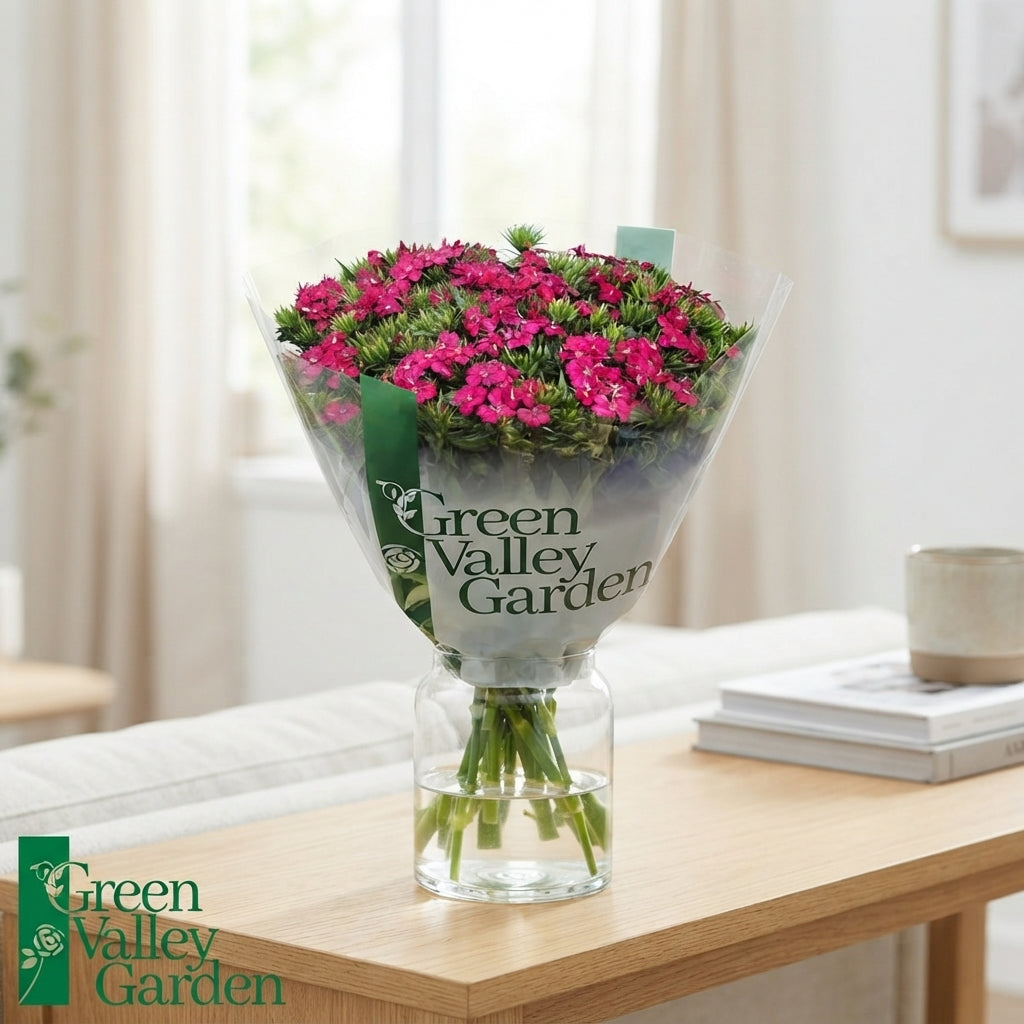 Sweet William ‘Amazon Neon Cherry’ – Red Cut Stems