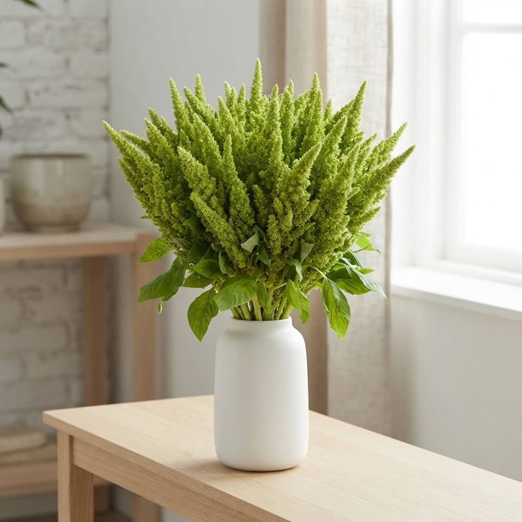 Mixed Amaranthus Cut Stems – 50cm