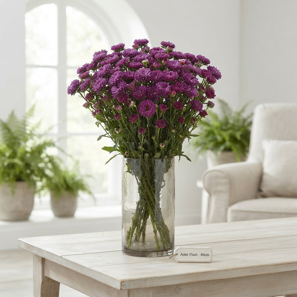 Purple Aster ‘Flash’ Cut Flowers – 80cm Stems