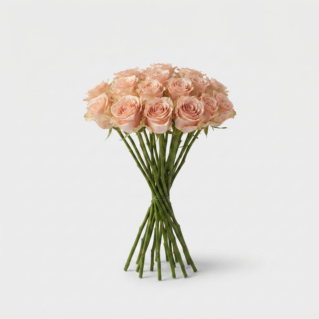 Rose - Rosa - Doris Day