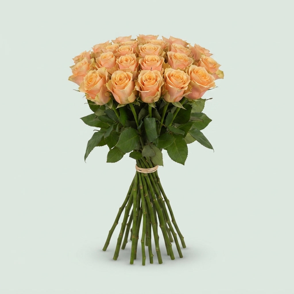 Rose - Rosa - Alchemy