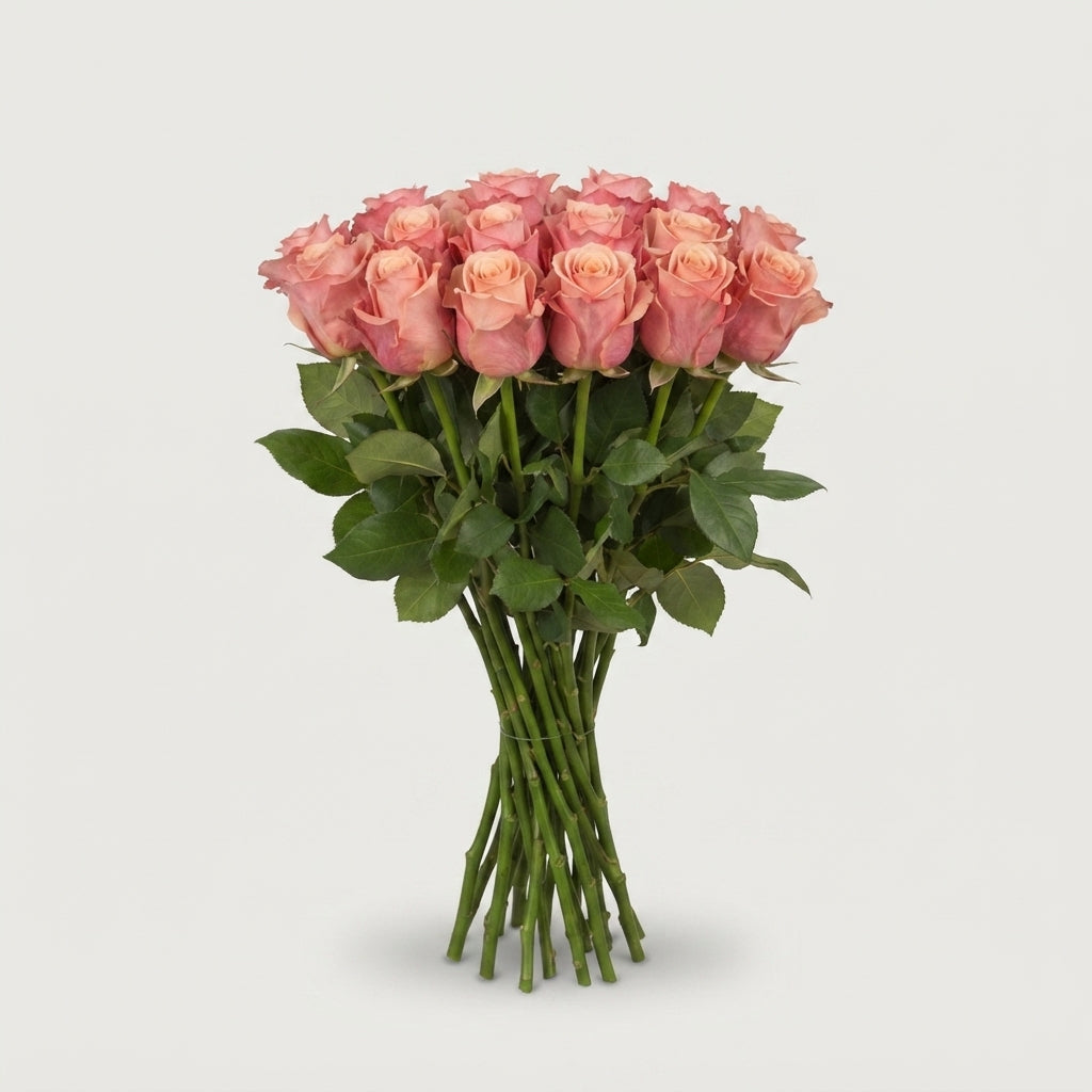 Rose - Rosa - Adele