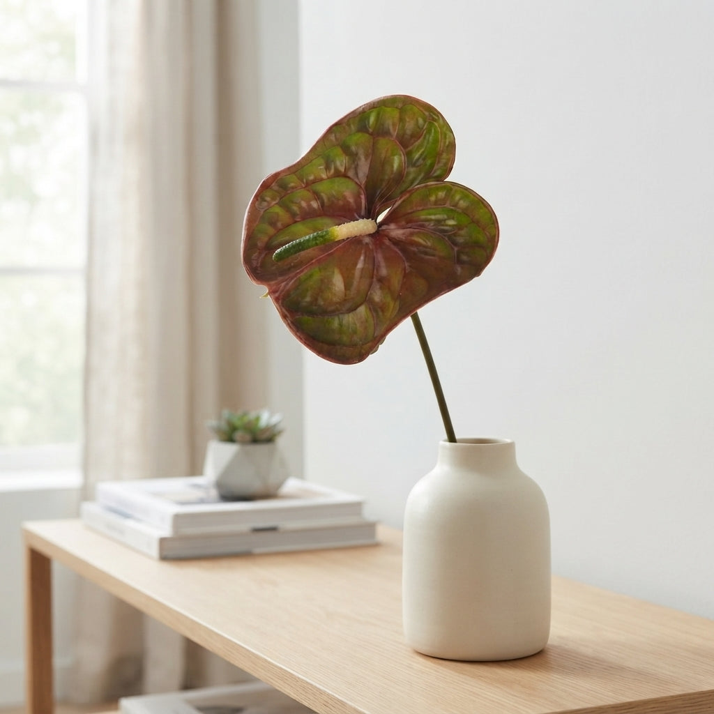 Green Anthurium ‘Elixer’ Cut Flowers – 35cm Stems
