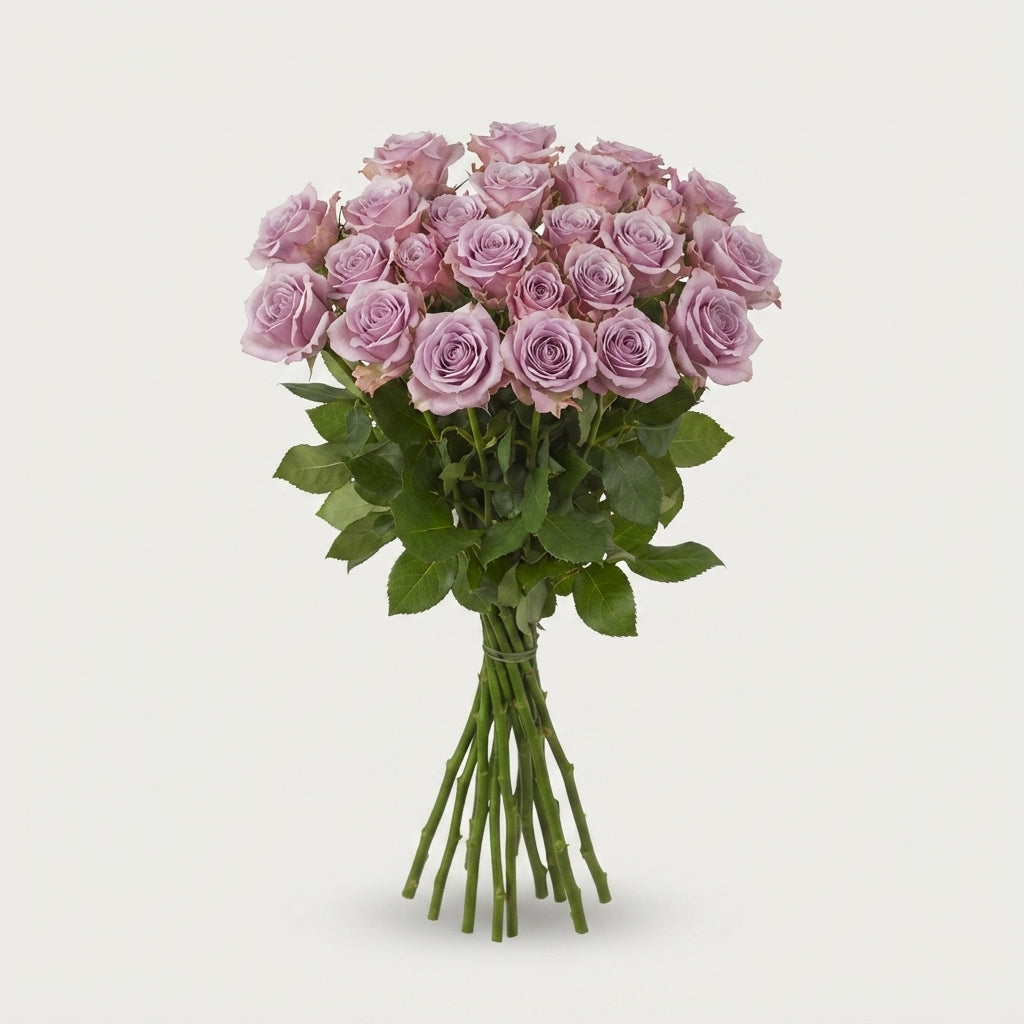 Spray Rose - Rosa - Leila
